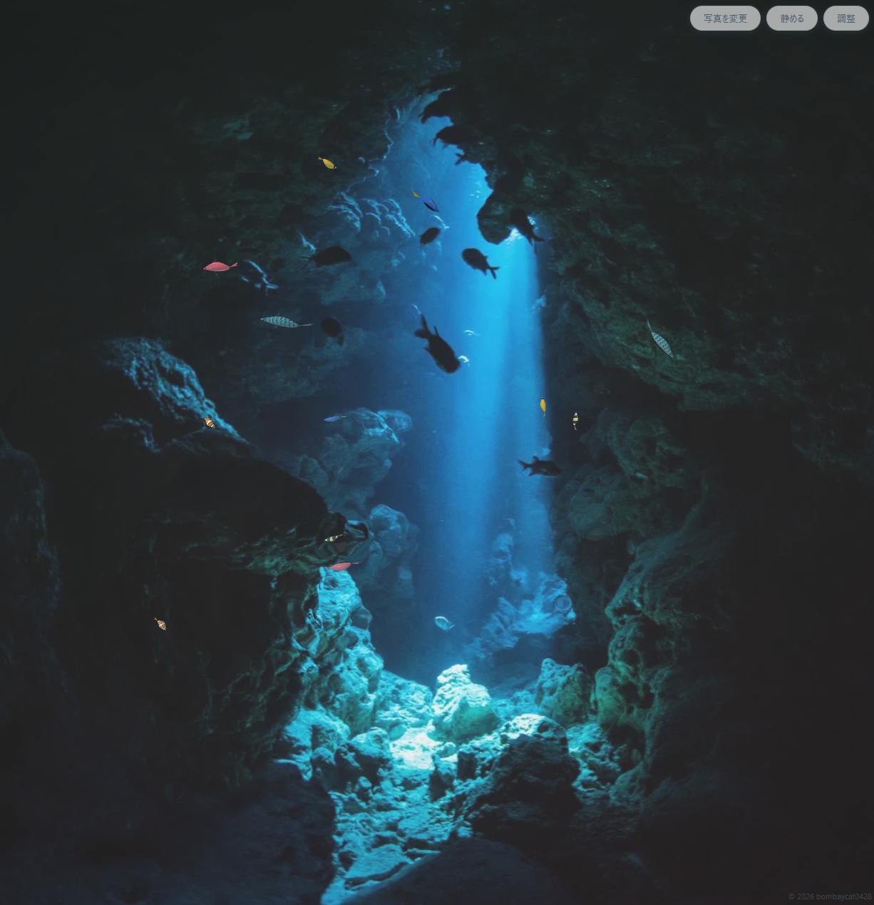 水族館アプリ
